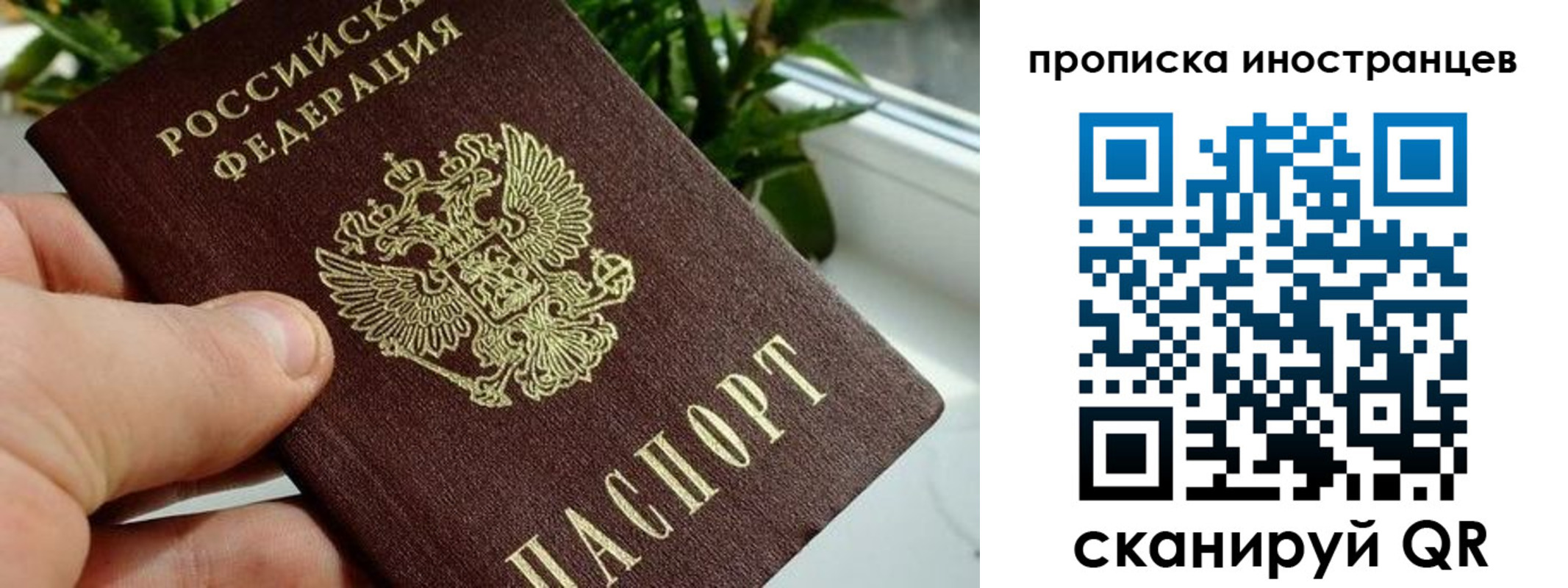временная регистрация в Брянской области