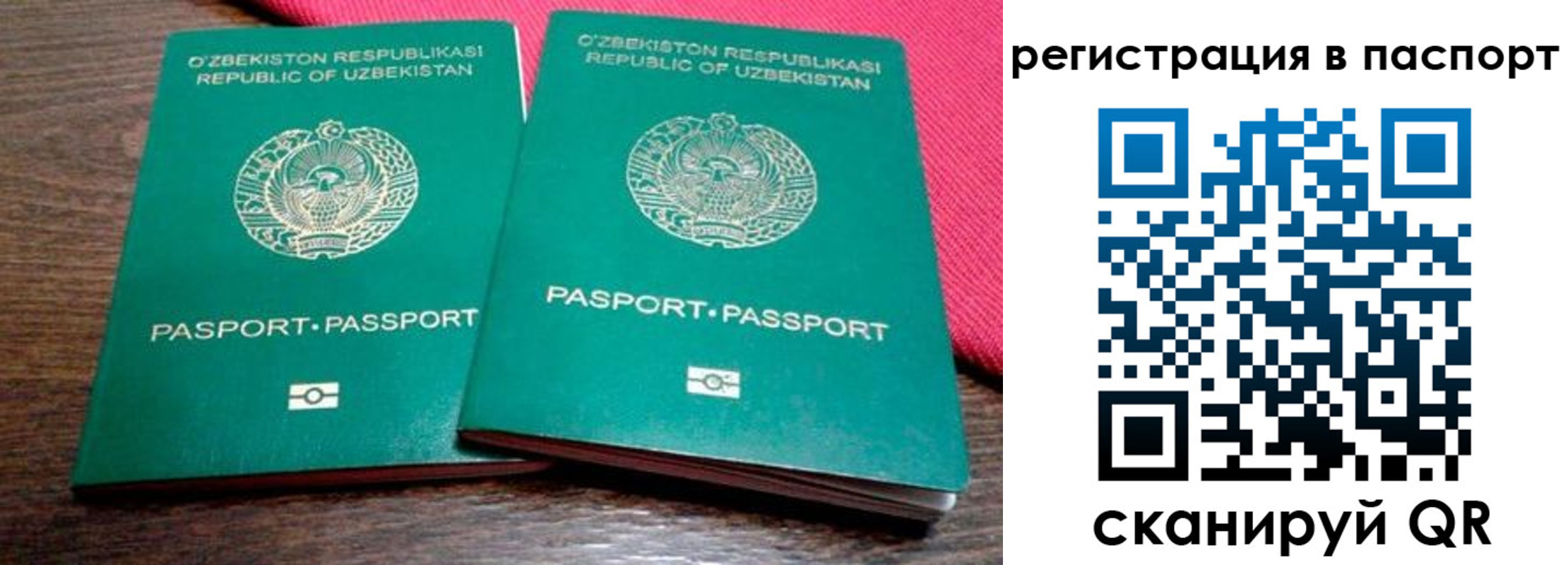 временная регистрация купить в Брянской области